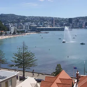 Oriental Bay At Its , Wellington Neuseeland